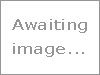 Beebware Directory