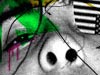 Shodown (Gone)